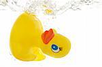 rubber duck in bath bathroom splashing in water