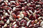 A texture of many spotted kidney beans