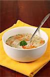 Turkey or chicken soup with carrot, noodles and parsley