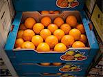 Close up of boxes of oranges