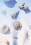 Shells and bubbles