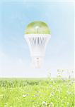 LED bulb and grassland