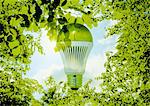 LED bulb and fresh green
