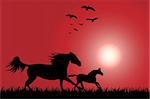 Silhouette of two horses skipping on a decline