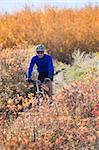 Man mountain biking downhill in fall.