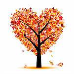 Beautiful autumn tree heart shape for your design