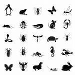 A insect collection vector illustration