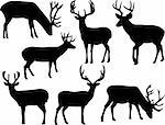 deers silhouette collection - vector