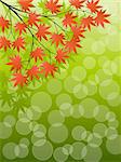 Abstract background with a tree branch. Vector illustration.