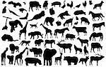 vector silhouettes of different wild and domestic animals can be scaled to any size