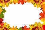 Bordure de feuilles automne pour votre texte