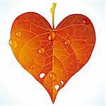 Vector fallen red leaf in the shape of heart