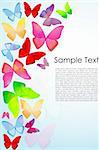 illustration of butterfly background with sample text