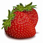 illustration of strawberries on isolated background