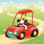 Funny dog on a car. Cartoon and vector illustration, isolated objects