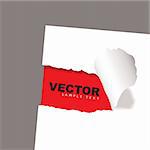 torn paper icon with red background and copy space