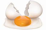 illustration of broken egg on white background