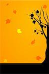 illustration of autumn card