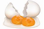 illustration of broken egg with dollar icon on white background