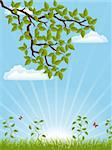 Summer background with a tree branch. Vector illustration.