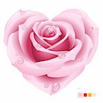 Vector pink rose in the shape of heart
