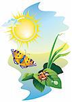 Sunrise landscape: flying butterfly and ladybug upon the leaves with water drops, vector illustration