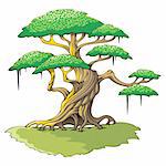 Crooked tree with plenty of leaves, vector illustration