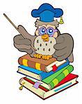 Owl teacher sitting on four books - vector illustration.