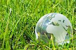 glass globe or earth in green grass showing eco concept with copyspace