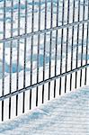 Frost on fence