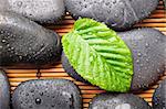 zen or spa stones with green leaf and water drops