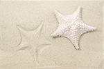 Starfish on sand with its imprint background