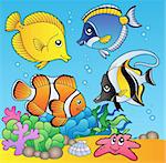 Underwater animals and fishes 2 - vector illustration.