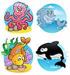 Various aquatic animals and fishes - vector illustration.