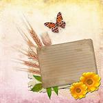 Vintage Card for invitation or congratulation with  flowers  and butterfly