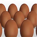 Vector picture with brown eggs