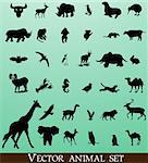 Abstract collection of vector animals on white