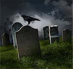 Cemetery with old gravestones and black raven