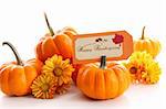 Small pumpkins with chrysanthemums and table card