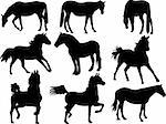 horses silhouette collection - vector