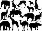 collection of wild animals - vector
