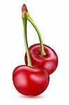 illustration of pair of vector cherries on isolated background