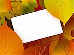 Blank card surrounded by beautiful autumn leaves. EPS 8 vector file included