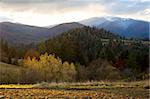 Beautiful autumn view of Carpathian Mountains. Ukraine