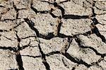 dry and cracked soil in hot summer on a farm