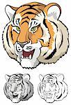 Growling tiger, realistic close-up, vector illustration