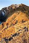 Mountain landscape in morning with golden sunlight on grassland and forest under blue sky in Taiwan, Asia.