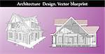 House Exterior High Detail Perspective Illustration Vector