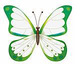 A beautiful white butterfly isolated.  Vector illustration. Vector art in Adobe illustrator EPS format, compressed in a zip file. The different graphics are all on separate layers so they can easily be moved or edited individually. The document can be scaled to any size without loss of quality.