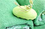 Light-green  soap with the oats on the green towel